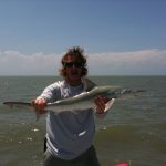 lil bull shark lil bull shark