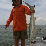 caydens first shark caydens first shark